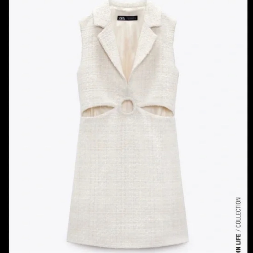 Zara mini dress (Xsmall)